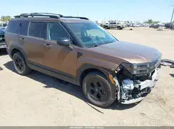 5NMP3DGL1RH017965 2024 HYUNDAI SANTA FE