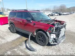 5NMP3DGL1RH030263 2024 HYUNDAI SANTA FE
