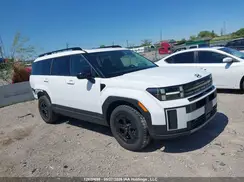 5NMP3DGL2RH002164 2024 HYUNDAI SANTA FE