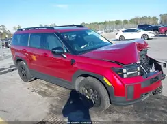 5NMP3DGL2RH040428 2024 HYUNDAI SANTA FE