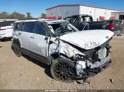5NMP3DGL3RH041507 2024 HYUNDAI SANTA FE