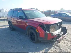 5NMP3DGL6RH030193 2024 HYUNDAI SANTA FE