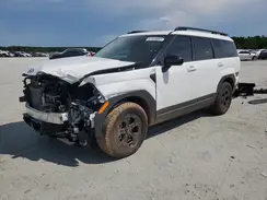 5NMP3DGL7RH009997 2024 HYUNDAI SANTA FE