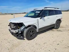 5NMP3DGL8RH002279 2024 HYUNDAI SANTA FE