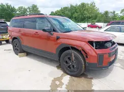 5NMP3DGL8RH048453 2024 HYUNDAI SANTA FE