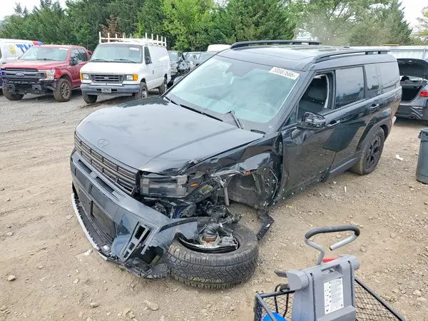 5NMP3DGL9RH010083 2024 HYUNDAI SANTA FE - Image 1