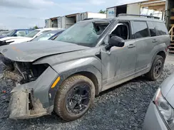 5NMP3DGL9RH036313 2024 HYUNDAI SANTA FE