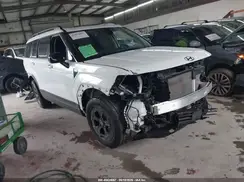 5NMP3DGLXRH044114 2024 HYUNDAI SANTA FE