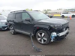 5NMP4DGL1RH051627 2024 HYUNDAI SANTA FE