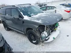 5NMP4DGL6RH046164 2024 HYUNDAI SANTA FE