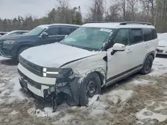 5NMP4DGL7RH010113 2024 HYUNDAI SANTA FE