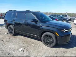 5NMP54G19SH047066 2025 HYUNDAI SANTA FE