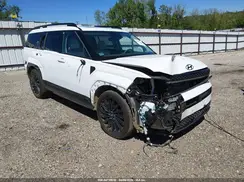 5NMP54GL8RH052304 2024 HYUNDAI SANTA FE