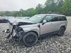 5NMP5DG12SH032361 2025 HYUNDAI SANTA FE
