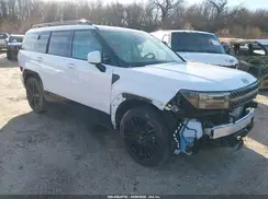 5NMP5DG13SH028707 2025 HYUNDAI SANTA FE