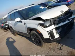 5NMP5DG13SH046351 2025 HYUNDAI SANTA FE