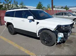 5NMP5DG14RH016950 2024 HYUNDAI SANTA FE