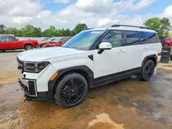 5NMP5DG14SH038985 2025 HYUNDAI SANTA FE