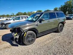 5NMP5DG19SH026234 2025 HYUNDAI SANTA FE