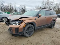 5NMP5DGL0RH058212 2024 HYUNDAI SANTA FE