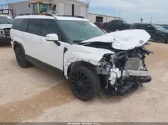 5NMP5DGL0SH109133 2025 HYUNDAI SANTA FE