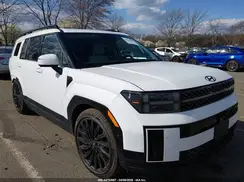 5NMP5DGL4RH031580 2024 HYUNDAI SANTA FE
