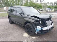 5NMP5DGL9RH038010 2024 HYUNDAI SANTA FE