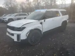 5NMP5DGL9SH082417 2025 HYUNDAI SANTA FE