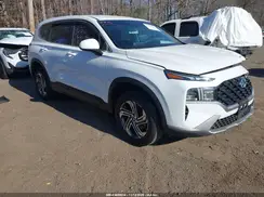 5NMS1DAJ5PH488604 2023 HYUNDAI SANTA FE