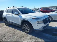 5NMS24AJ5PH599909 2023 HYUNDAI SANTA FE