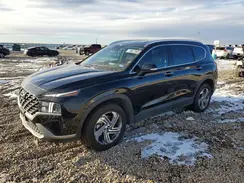 5NMS24AJ7PH625345 2023 HYUNDAI SANTA FE
