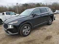 5NMS24AJ7PH650231 2023 HYUNDAI SANTA FE