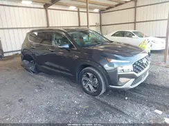 5NMS24AJ8PH506364 2023 HYUNDAI SANTA FE