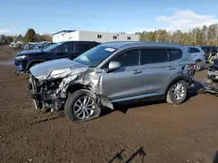 5NMS2CAD3LH225717 2020 HYUNDAI SANTA FE