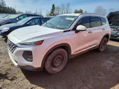5NMS2CAD5KH087550 2019 HYUNDAI SANTA FE