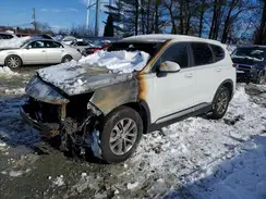 5NMS2CAD6KH060454 2019 HYUNDAI SANTA FE