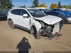 5NMS2CAD7LH161438 2020 HYUNDAI SANTA FE