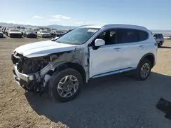 5NMS2DA10PH017540 2023 HYUNDAI SANTA FE