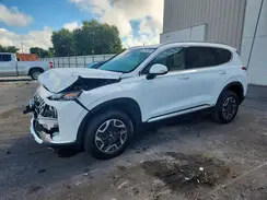 5NMS2DA11PH010919 2023 HYUNDAI SANTA FE