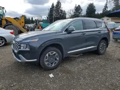 5NMS2DA17PH022556 2023 HYUNDAI SANTA FE