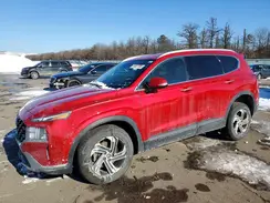 5NMS2DAJ0PH486255 2023 HYUNDAI SANTA FE