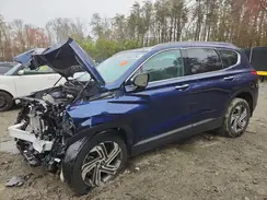 5NMS2DAJ0PH502583 2023 HYUNDAI SANTA FE