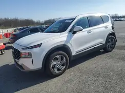 5NMS2DAJ1PH559794 2023 HYUNDAI SANTA FE