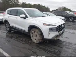 5NMS2DAJ1PH630654 2023 HYUNDAI SANTA FE