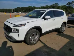 5NMS2DAJ3PH555312 2023 HYUNDAI SANTA FE