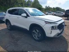 5NMS2DAJ4PH563743 2023 HYUNDAI SANTA FE