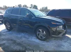 5NMS2DAJ5PH515961 2023 HYUNDAI SANTA FE