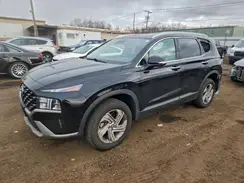 5NMS2DAJ5PH568952 2023 HYUNDAI SANTA FE