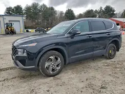 5NMS2DAJ5PH630768 2023 HYUNDAI SANTA FE