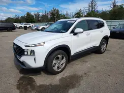 5NMS2DAJ6PH553117 2023 HYUNDAI SANTA FE
